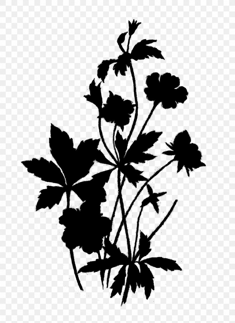 Twig Plant Stem Flowering Plant Leaf, PNG, 1164x1600px, Twig, Blackandwhite, Botany, Branch, Cinquefoil Download Free