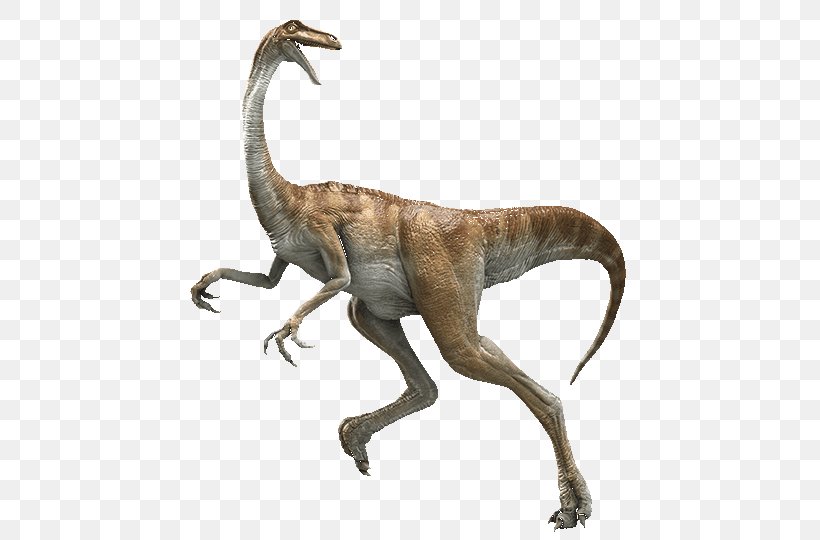 Velociraptor Dinosaur Dilophosaurus Gallimimus Tyrannosaurus, PNG, 540x540px, Velociraptor, Action Film, Animal, Batman Arkham Knight, Dilophosaurus Download Free