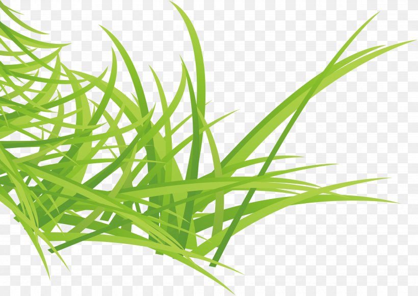 Shading Decoration, PNG, 4720x3344px, Shading, Commodity, Drawing, Grass, Grass Family Download Free
