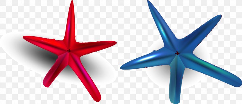 Starfish Clip Art, PNG, 2244x968px, Starfish, Blue, Button, Designer, Echinoderm Download Free