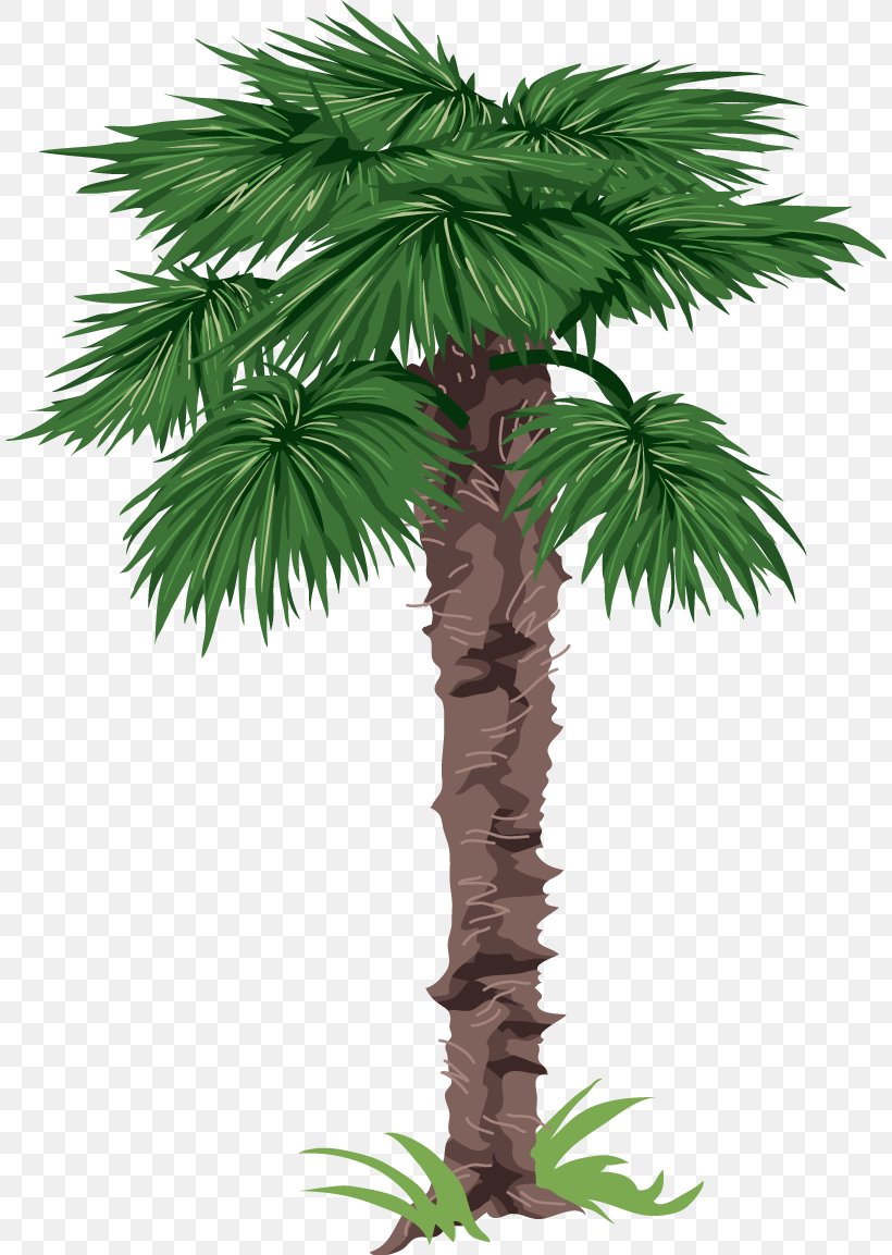 Palm Trees Clip Art Crownshaft, PNG, 810x1153px, Palm Trees, Areca Palm, Arecales, Borassus Flabellifer, Date Palm Download Free
