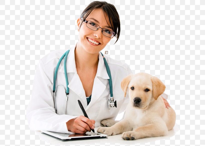 Puppy Dog Breed Veterinarian Veterinary Medicine, PNG, 616x585px, Puppy, Animal Welfare, Carnivoran, Companion Dog, Dog Download Free