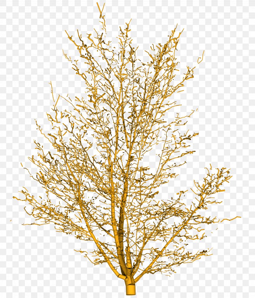 Tree Branch Yellow Shrub, PNG, 3080x3600px, Tree, Branch, Deciduous, Diagram, Maple Download Free