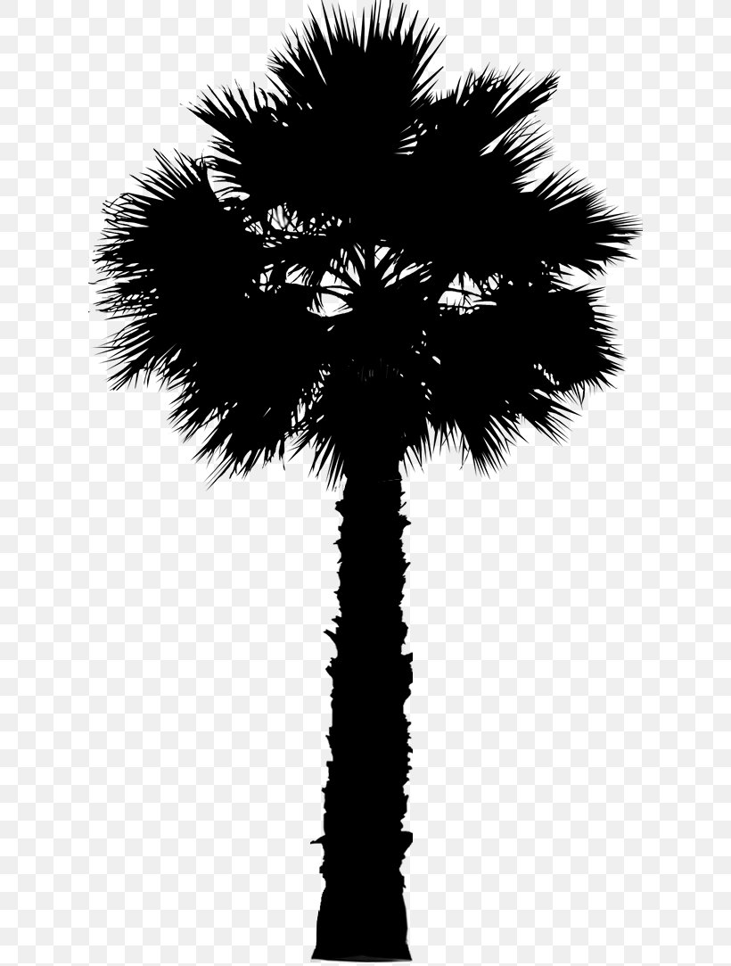 Asian Palmyra Palm Date Palm Leaf Palm Trees Silhouette, PNG, 622x1083px, Asian Palmyra Palm, Arecales, Attalea Speciosa, Blackandwhite, Borassus Download Free