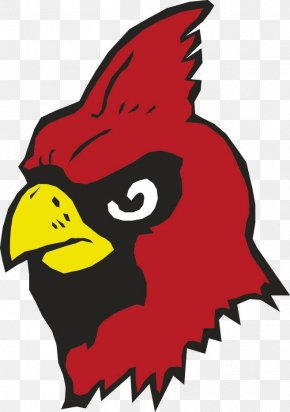 Chippewa Falls High School St. Louis Cardinals Sport Track & Field PNG