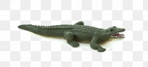 Crocodile - Crocodiles Alligator Toy Dinosaur PNG