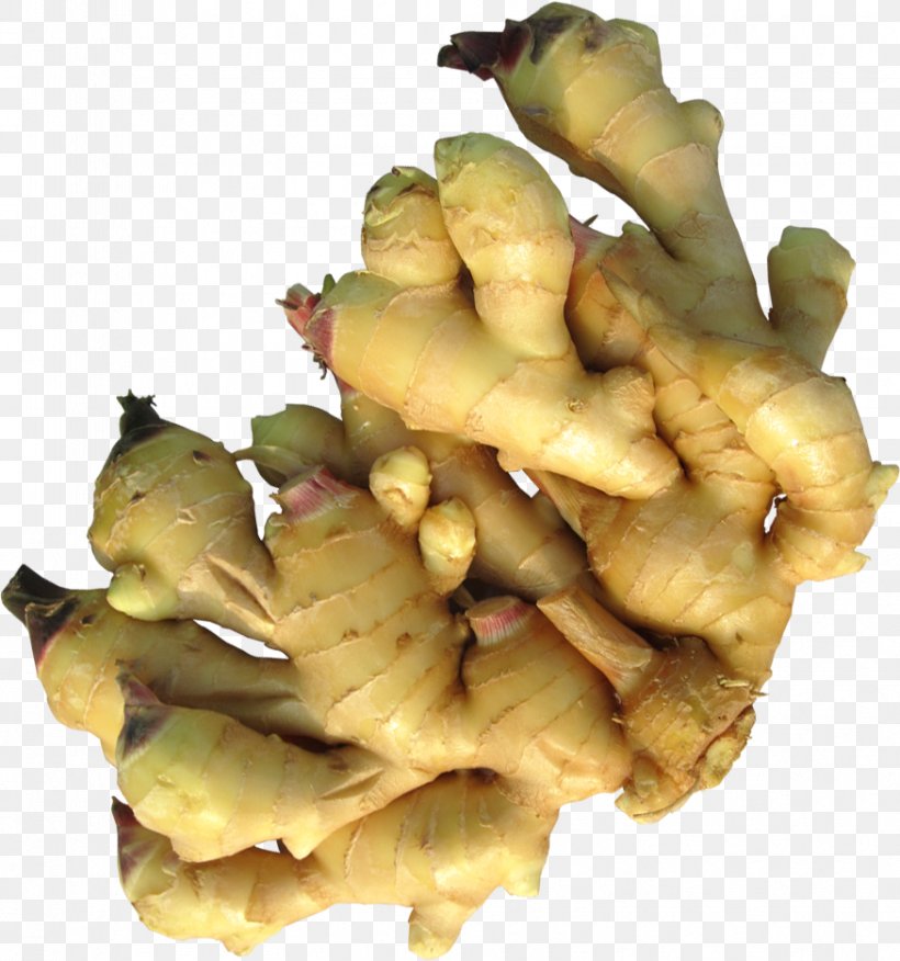 Ginger Root Vegetables Spice Condiment, PNG, 875x935px, Ginger, Condiment, Fines Herbes, Food, Gratis Download Free