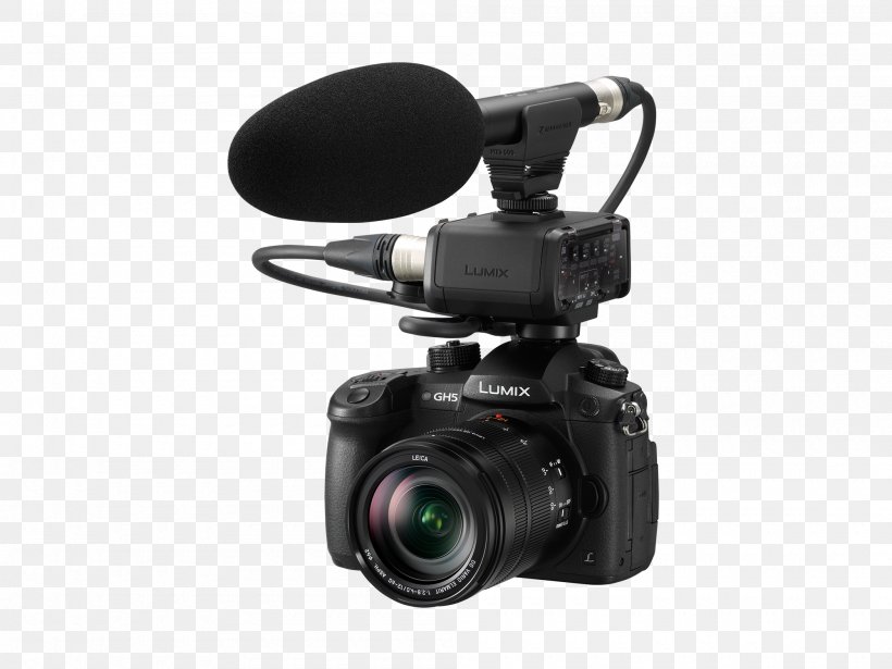 Panasonic Lumix DC-GH5 Panasonic DMW-XLR1 XLR Microphone Adapter Camera XLR Connector, PNG, 2000x1500px, Panasonic Lumix Dcgh5, Audio, Audio Equipment, Camera, Camera Accessory Download Free