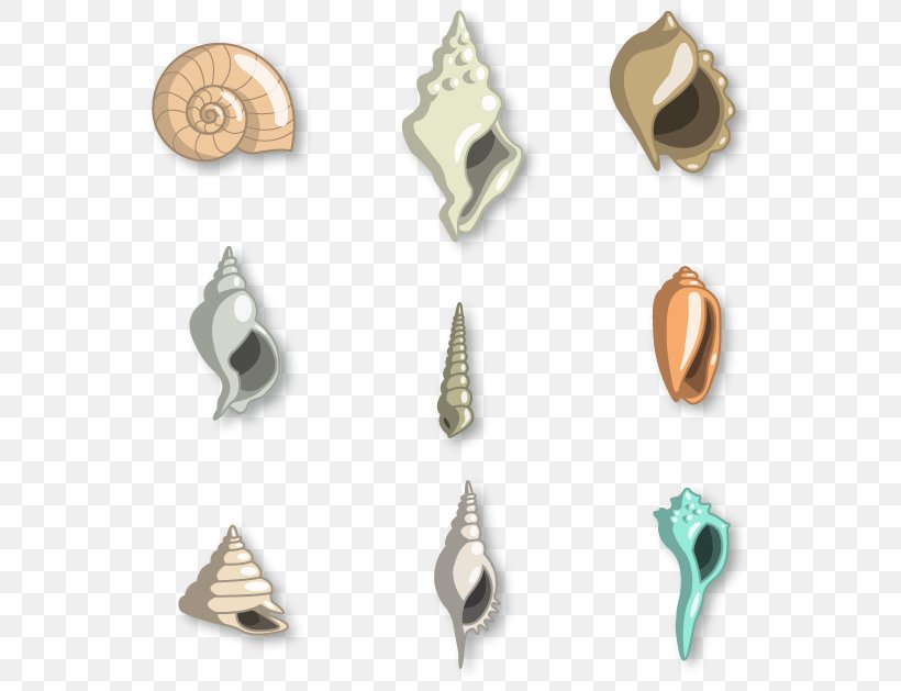Seashells Resort At Suncrest Euclidean Vector Molluscs, PNG, 562x629px, Seashells Resort At Suncrest, Body Jewelry, Brass, Chart, Graph Of A Function Download Free