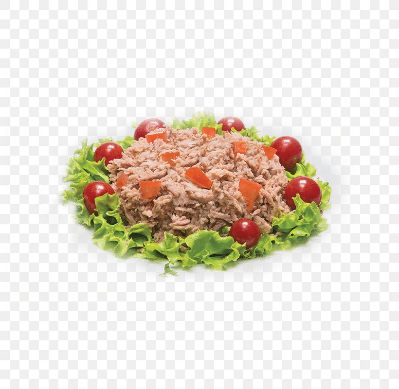 Vegetarian Cuisine Food Salad Vegetable, PNG, 800x800px, Vegetarian Cuisine, Cuisine, Dish, Food, Garnish Download Free
