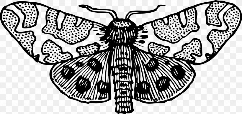 Butterfly Insect Clip Art, PNG, 2400x1134px, Butterfly, Arthropod, Black And White, Brush Footed Butterfly, Butterflies And Moths Download Free