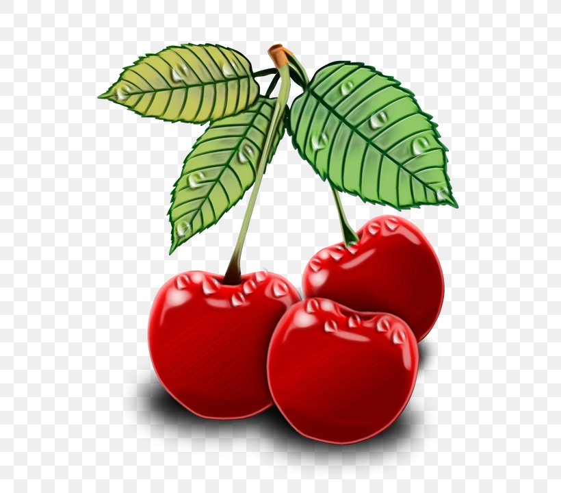 Family Tree Background, PNG, 606x720px, Cherries, Acerola, Acerola Family, Barbados Cherry, Berries Download Free