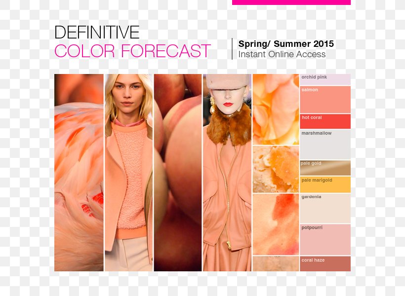 Fashion Forecasting Orange Color Peach, PNG, 700x600px, Fashion Forecasting, Advertising, Autumn, Brand, Color Download Free