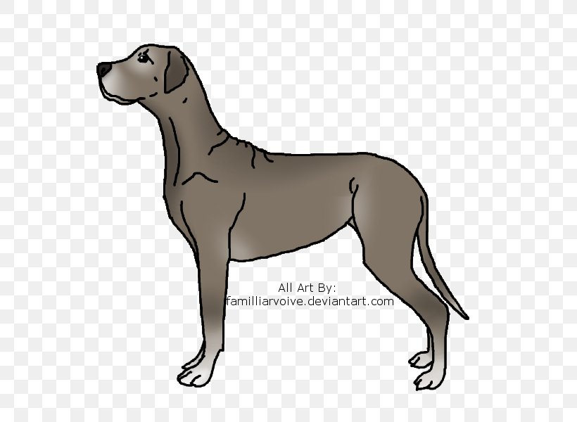 Great Dane Sloughi Irish Wolfhound Dog Breed T-shirt, PNG, 800x600px, Great Dane, Breed, Carnivoran, Dog, Dog Breed Download Free