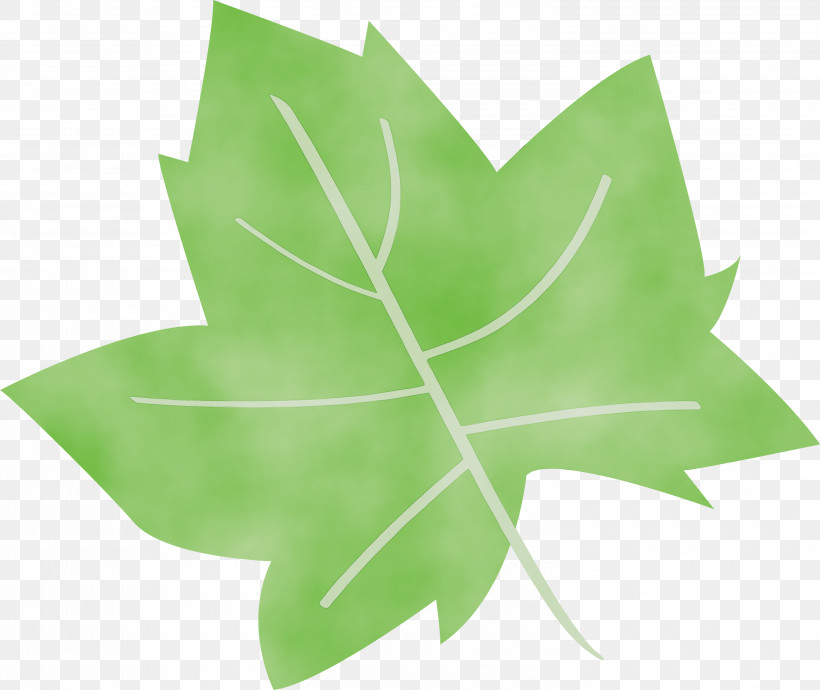 Leaf Green M-tree Symmetry Tree, PNG, 3000x2526px, Cartoon Leaf, Abstract Leaf, Biology, Cute Leaf, Green Download Free