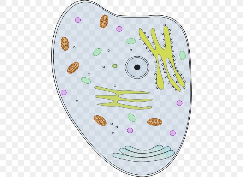 Plant Cell Biology Clip Art, PNG, 474x597px, Cell, Animal, Biology, Cell Nucleus, Neuron Download Free
