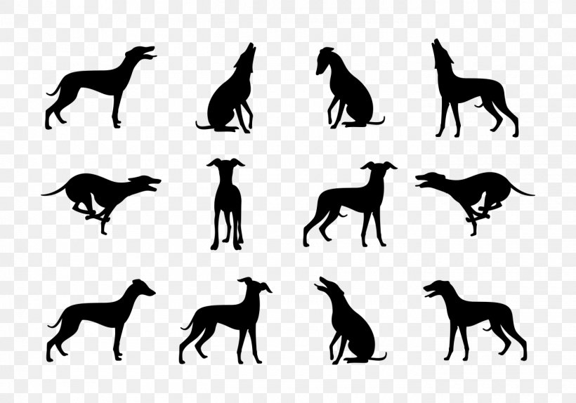 Whippet Greyhound Silhouette Dog Breed Png 1400x980px Whippet