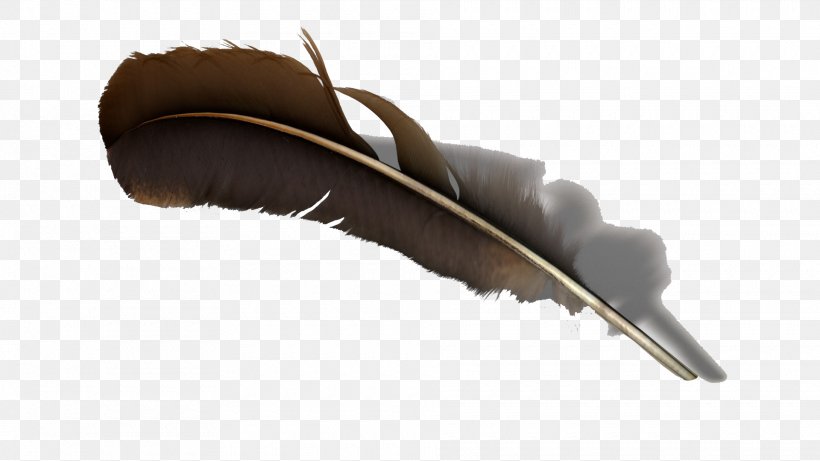 Feather TurboSquid 3D Computer Graphics, PNG, 1920x1080px, 3d Computer Graphics, 3d Modeling, Feather, Animation, Autodesk 3ds Max Download Free