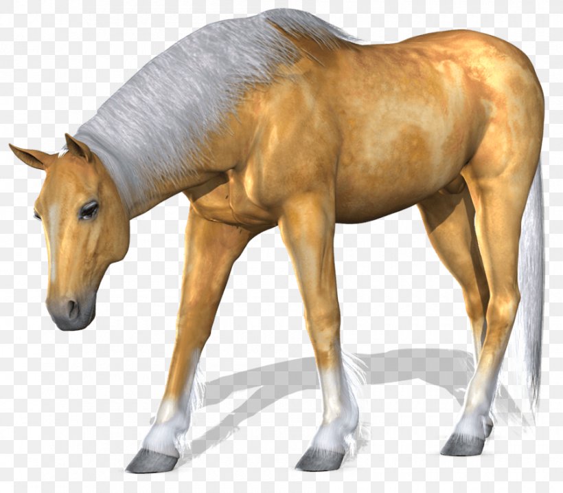 Horse Computer File, PNG, 900x787px, Horse, Colt, Digital Image, Eohippus, Equus Download Free