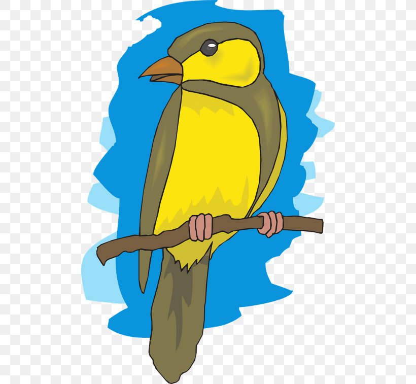 Robin Bird, PNG, 500x757px, Bird, American Goldfinch, Animal, Beak, Budgerigar Download Free