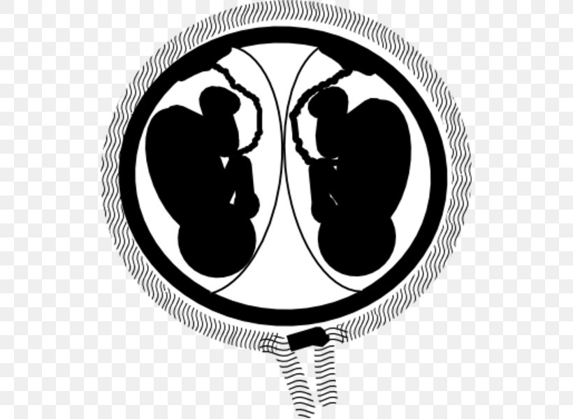Twin Pregnancy Fetus Uterus Clip Art, PNG, 531x600px, Twin, Birth, Black And White, Childbirth, Embryo Download Free