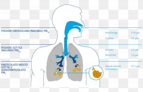 Water - Breathing Water Elixir Of Life Filtration PNG