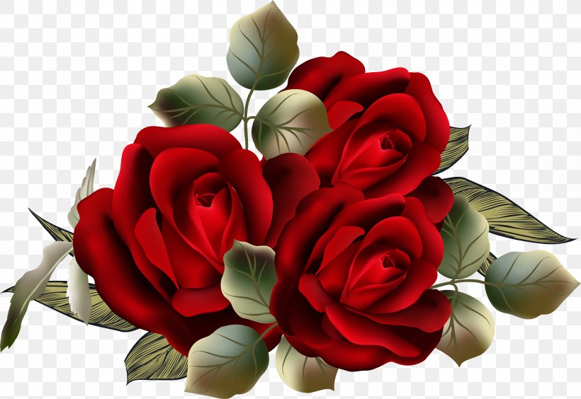 Garden Roses Cabbage Rose Cut Flowers Clip Art, PNG, 5600x3854px, Garden Roses, Artificial Flower, Cabbage Rose, Cut Flowers, Floral Design Download Free