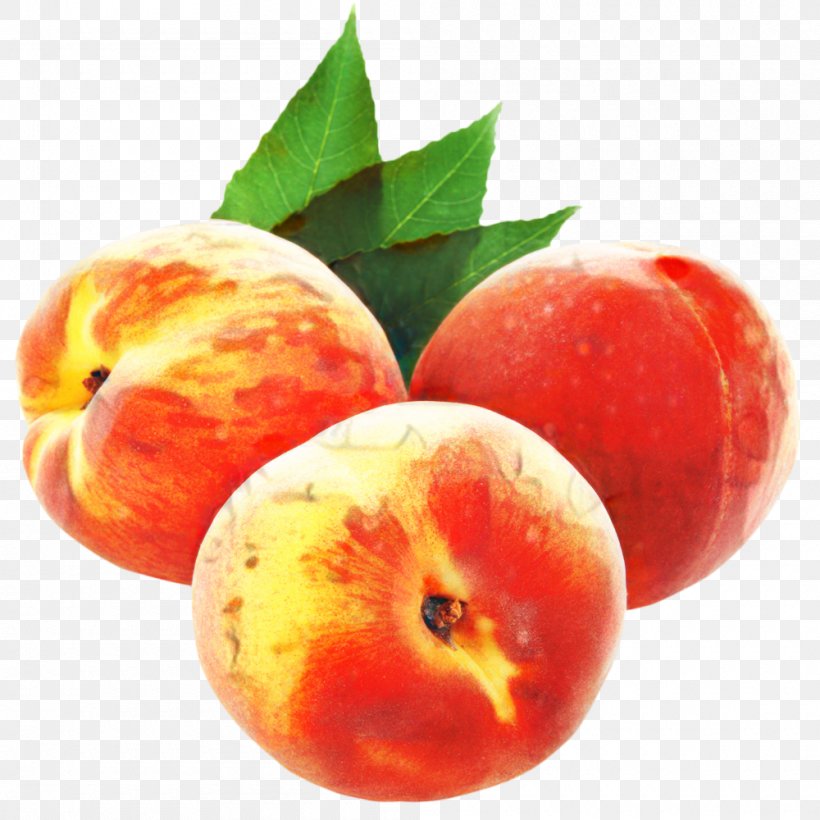 Gum Tree, PNG, 1000x1000px, Peach, Chinese Food Therapy, Clausena Lansium, Drinking, Drupe Download Free