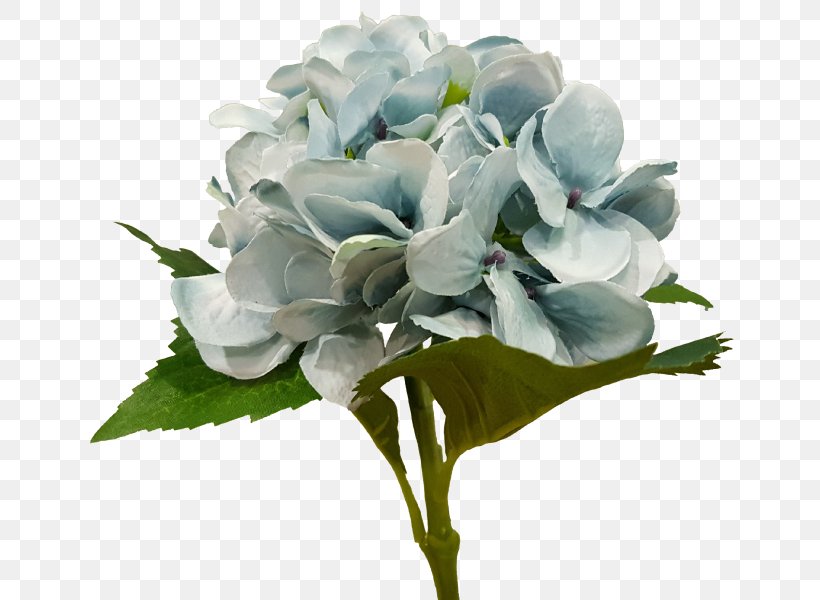 Hydrangea Floral Design Cut Flowers Flower Bouquet, PNG, 800x600px, Hydrangea, Artificial Flower, Cornales, Cut Flowers, Family Download Free
