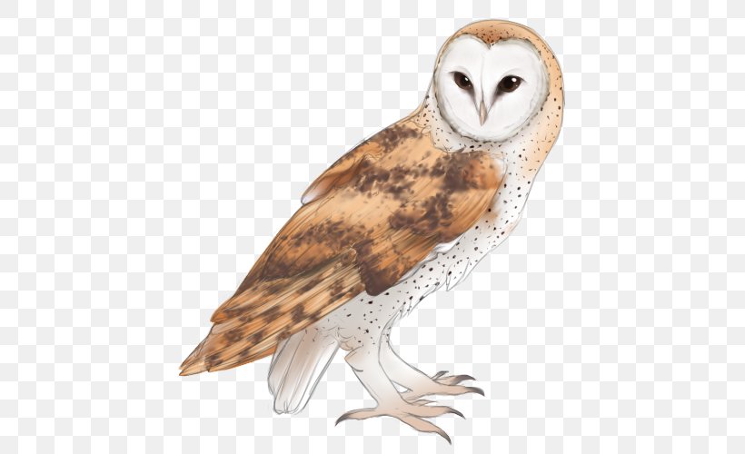 Owl Cartoon, PNG, 500x500px, Owl, Barn Owl, Beak, Bird, Bird Of Prey Download Free