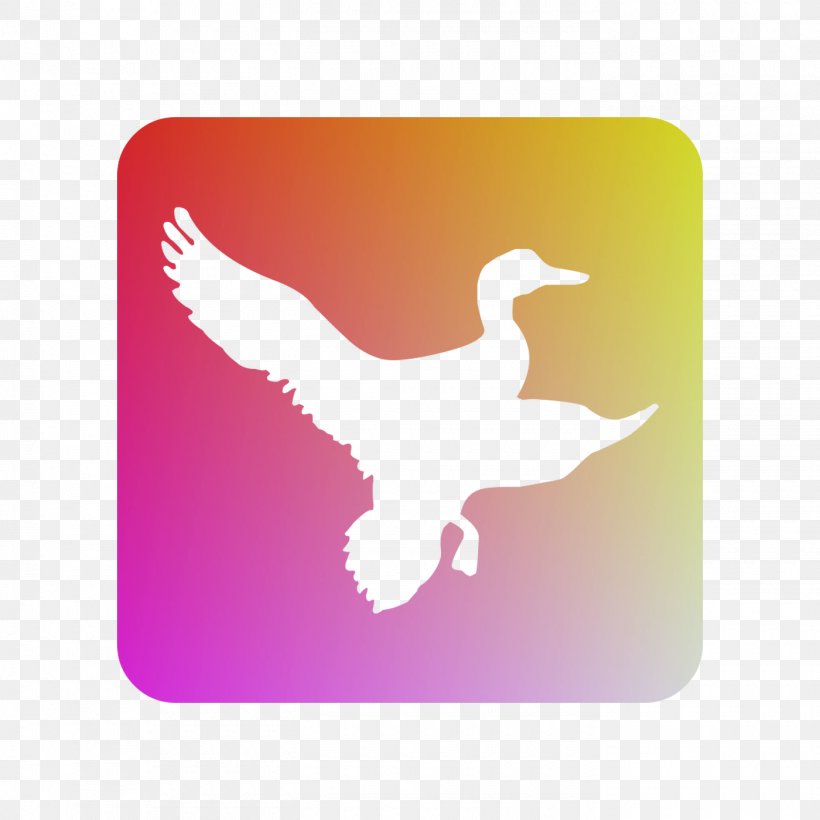 Duck T-shirt Decal Sticker, PNG, 1400x1400px, Duck, Art, Beak, Bird, Clothing Download Free