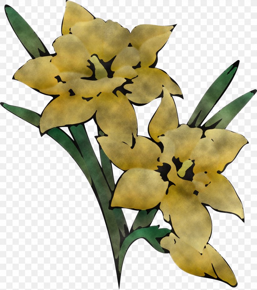 Flower Plant Yellow Lily Terrestrial Plant, PNG, 2269x2559px, Flower, Cut Flowers, Lily, Petal, Plant Download Free