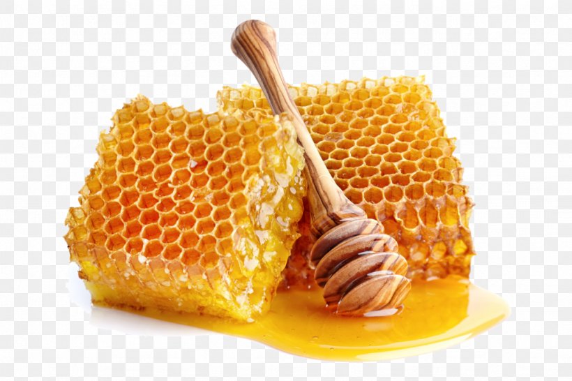 Honeycomb Bee Comb Honey Breakfast, PNG, 1024x682px, Honey, Bee, Breakfast, Comb Honey, Corn On The Cob Download Free