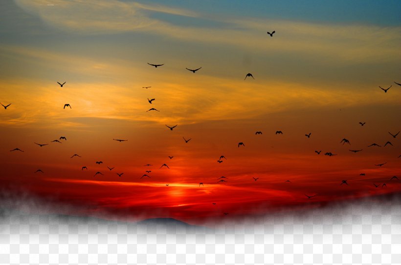 Sunset Sky Cloud Png 1200x796px Sunset Afterglow Atmosphere