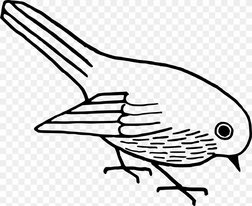 Bird Drawing Clip Art, PNG, 3455x2821px, Bird, Artwork, Beak, Bird Flight, Black And White Download Free