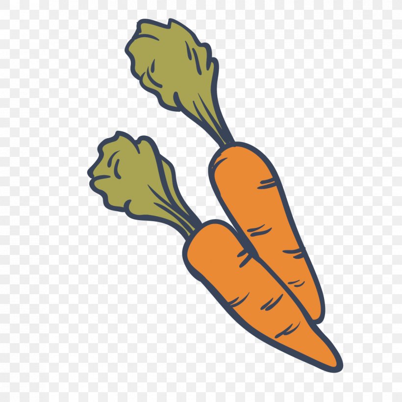 Drawing Carrot Vegetable Food, PNG, 1134x1134px, Drawing, Alimento Saludable, Carrot, Food, Health Food Download Free
