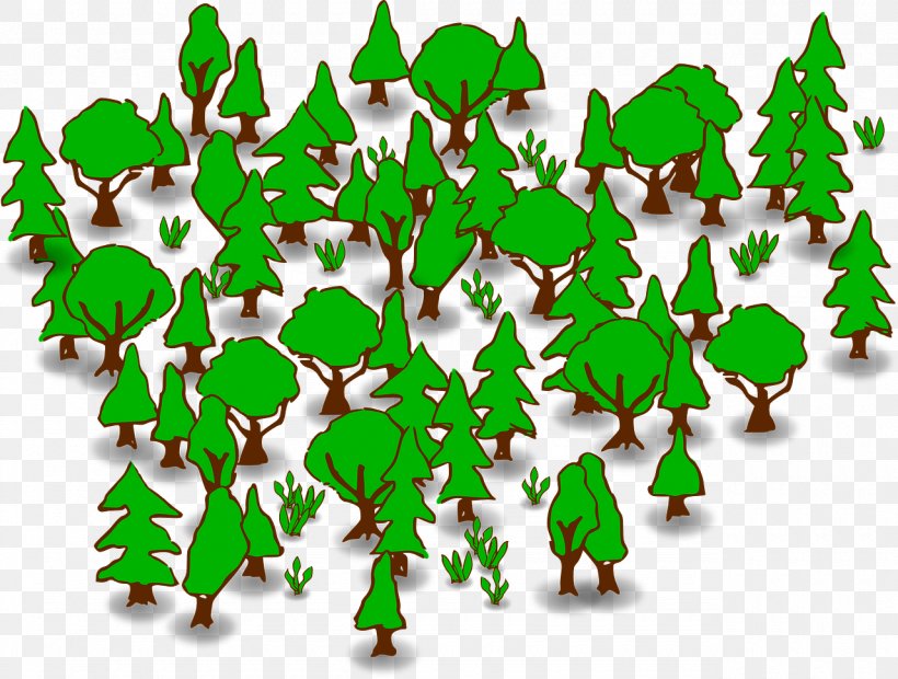 Forest Clip Art, PNG, 1280x969px, Forest, Art, Branch, Christmas Ornament, Computer Download Free