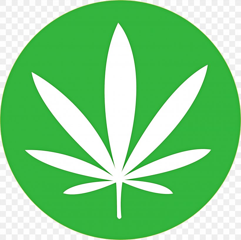 Weed, PNG, 3000x2999px, Leaf, Green, Hemp Family, Logo, Plant Download Free