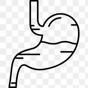 Digestive Vector - Internal Medicine Clinic Health Care Surgery PNG