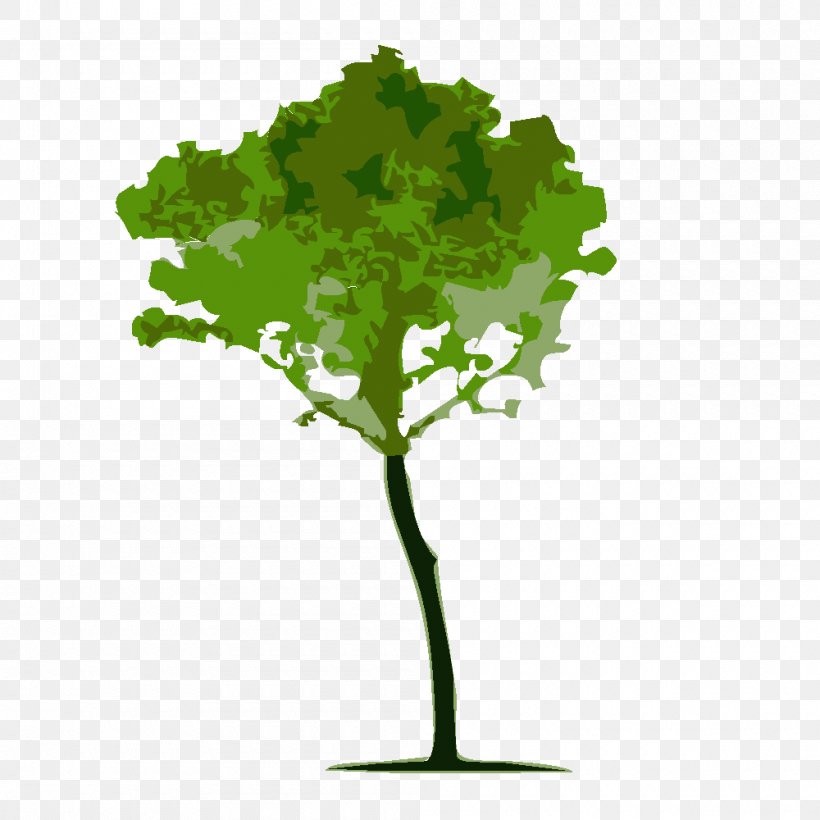 Tree Calliandra Brevipes Arbor Day, PNG, 1000x1000px, Tree, Afforestation, Arbor Day, Branch, Drawing Download Free