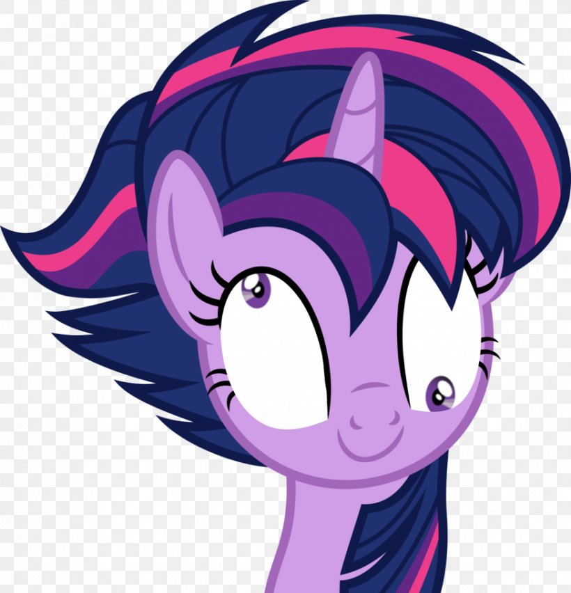 Twilight Sparkle Rainbow Dash Rarity Pony Applejack, PNG, 876x911px, Watercolor, Cartoon, Flower, Frame, Heart Download Free