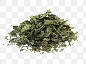 Mint - Yogurt Soup Mint Herb Food Drying Tea PNG