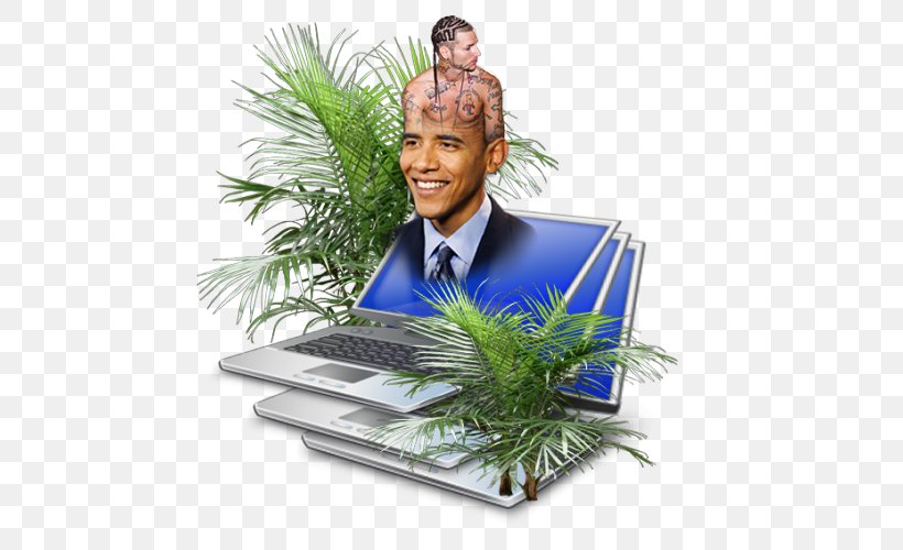 Barack Obama, A Biography For Children Tree, PNG, 500x500px, Barack Obama, Child, Plant, Tree Download Free