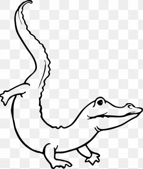 Crocodile - Crocodile Alligator Drawing Clip Art PNG