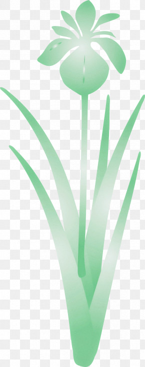 Iris Flower Spring Flower PNG