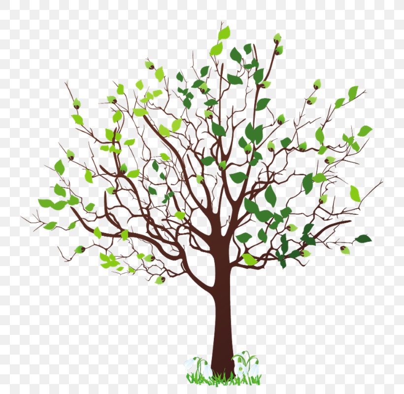 Tree Clip Art, PNG, 782x800px, Tree, Art, Blossom, Branch, Document Download Free