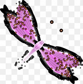 Hand Drawn Vector Illustration Dragonfly - Dragonfly Illustration PNG