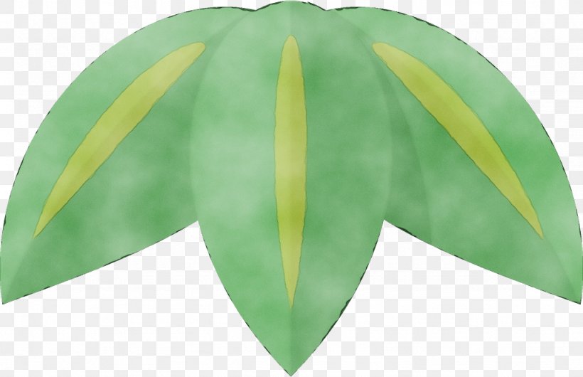 Leaf Green Yellow Plant Tree, PNG, 1024x662px, Watercolor, Anthurium, Flower, Green, Leaf Download Free