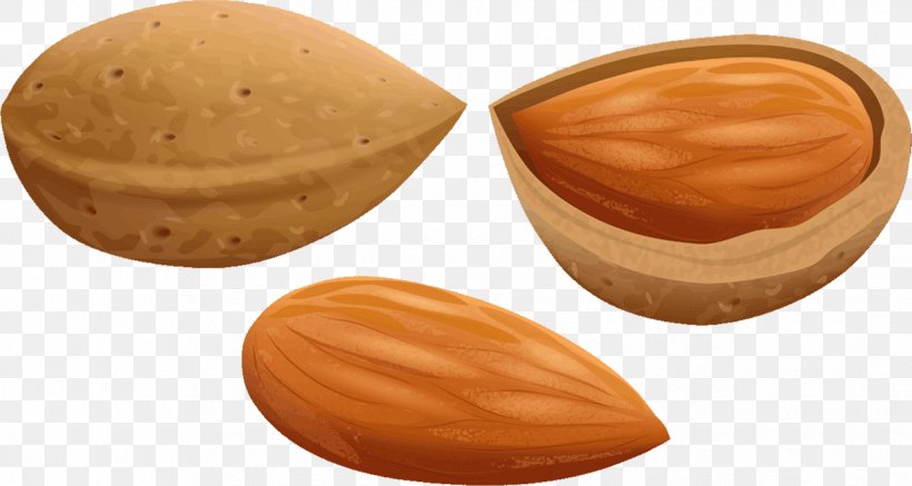 Almond Oil Praline Nut Food, PNG, 1235x659px, Almond, Almond Oil, Art, Food, Frugra Download Free