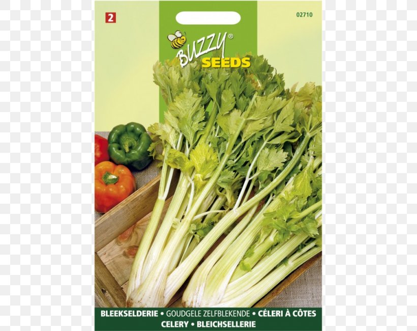 Chard Vegetarian Cuisine Grow Box Rapini Celery, PNG, 550x650px, Chard, Allium Fistulosum, Apium, Cauliflower, Celeriac Download Free